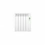Radiateur électrique série D ROINTE blanc brillant