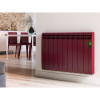 Commandez Radiateur électrique série D ROINTE en différentes couleurs, 10 ans de garantie pour l'enveloppe en aluminium et 2 ans pour les radiateurs électriques. aux prix d'usine