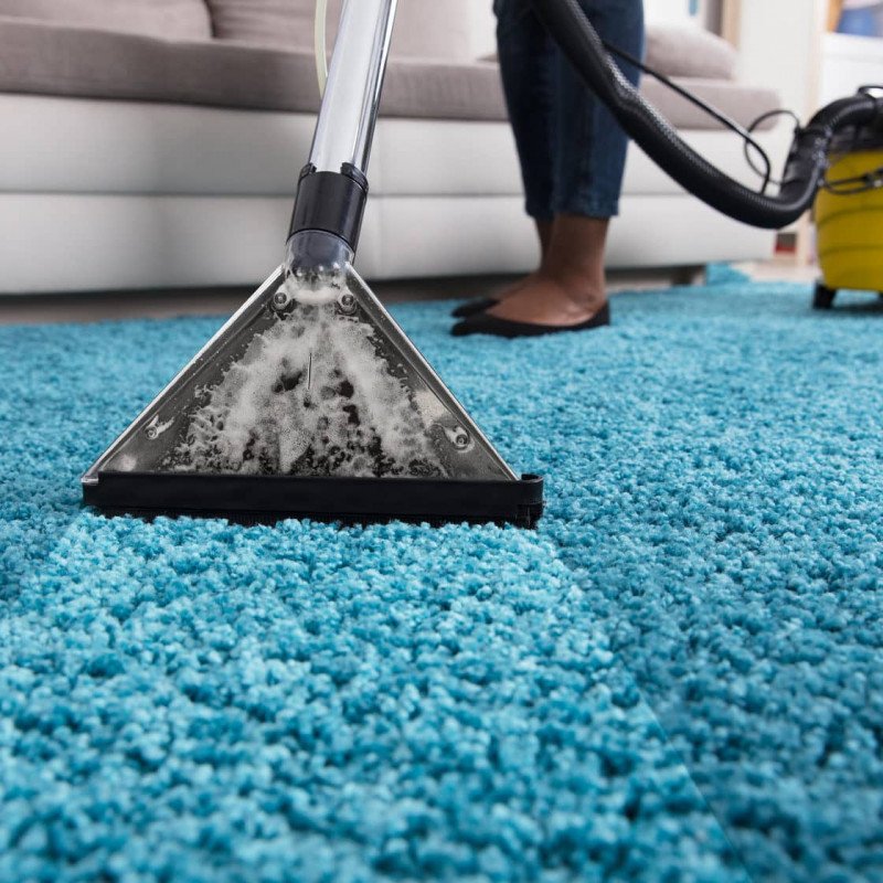 Buy Carpet dry cleaning at Factory Prices