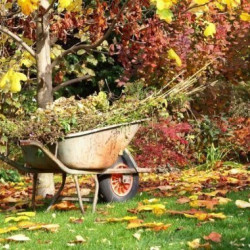 High-quality cleaning of territories