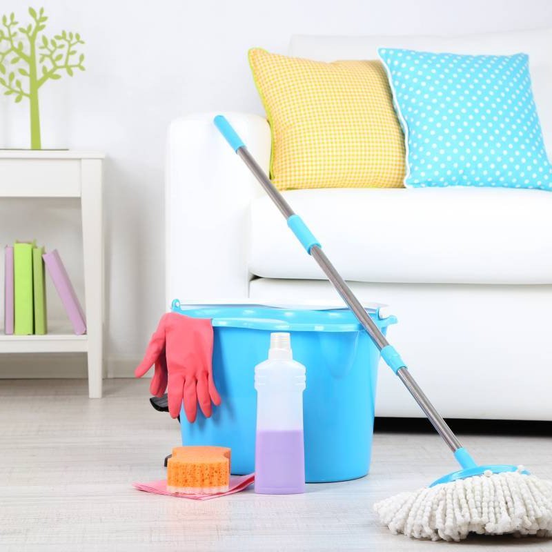 Buy Cleaning of houses and cottages at Factory Prices