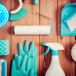 Dry cleaning, cleaning upholstered furniture, dusting curtains