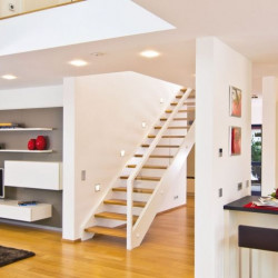 Professional daily cleaning of apartments