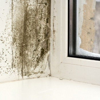 Cleaning the balcony from fungus