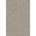 Panel de pared SPC Rocko R262 Satin Velora — 4 mm