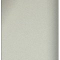 Декоративна панель SPC dd-spc-02-niebla-perla 1220 × 2800 × 4 мм