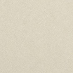 SPC Decorative Panel dd-spc-03 Ivory Silk 4 mm