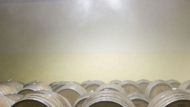 Winemaking and cognac production