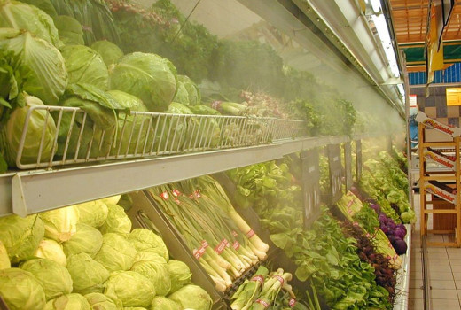 En vitrinas refrigeradas y mostradores con productos frescos