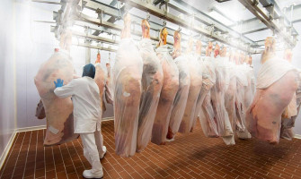 Misting systems for cooling meat, fish and mushrooms in cold rooms