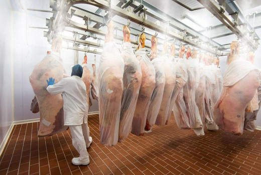 Nebelbildungssysteme zum Kühlen von Fleisch, Fisch und Blumen in Kühlkammern