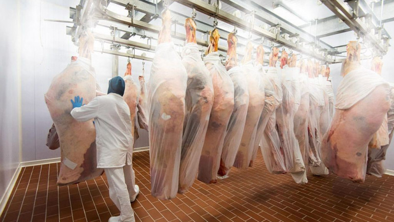 Sistemas de nebulização para refrigeração de carne, peixe e flores em câmaras frigoríficas