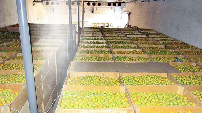 Pour le stockage des légumes et des fruits dans les entrepôts et les réfrigérateurs industriels