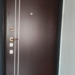 Brown aluminum entrance door