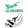 Salamander ущільнювач скла, захист від вологи, захист від пилу, заміна ущільнювача вікон, ущільнювач вікон