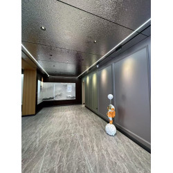 Panneau mural composite décoratif 8mm-métal brossé argenté avec texture polie en métal