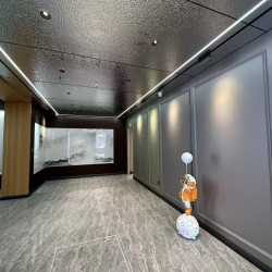 Декоративная композитная стеновая панель 8мм  – Silver Brushed Metal  с металлической шлифованной текстурой