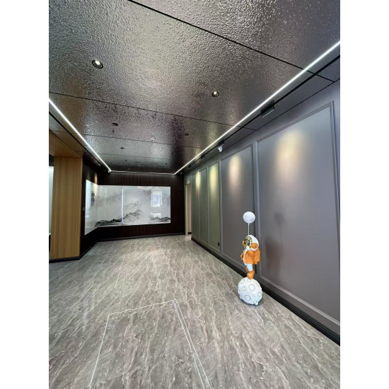 Декоративная композитная стеновая панель 8мм  – Silver Brushed Metal  с металлической шлифованной текстурой — фото, внешний вид, детали