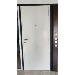 Алюминевая входная дверь Белая