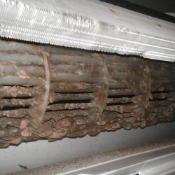 Maintenance of up to 4.500 frigates