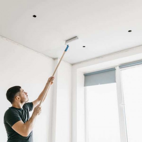 Commandez Décapage de la chaux du plafond, m² aux prix d'usine