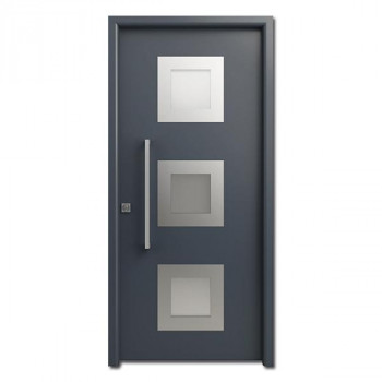 Porta Modelo 110