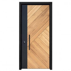 Дверь Modelo MK8