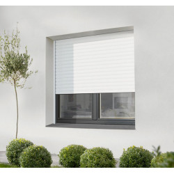 Aangepaste ingebouwde rolluiken met een doos