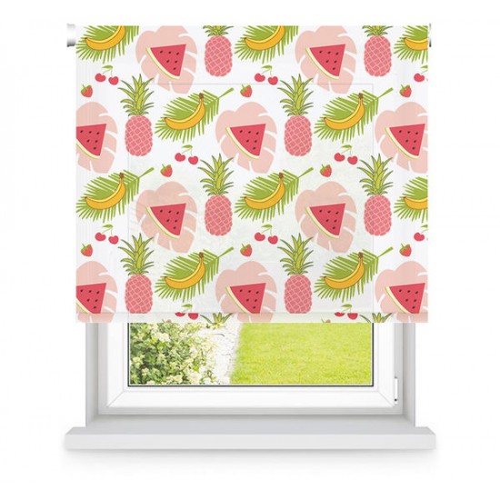 Buy Kitchen Blackout or Sifting roller blinds of premium class at Factory Prices