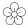 Coleção de flores 