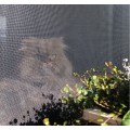 Buy Flexible Mosquito Net with High Resistance for Cats at Factory Prices