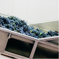 White Range - Collapsible PVC foam panel, removable ceiling