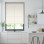 Roller Blinds, Translucent recycled Capri fabric made from plastic bottles collected in the seas and oceans