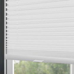 Opaque Pleated blinds
