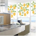 Buy Roller blinds, blinds with fruit print for the kitchen at Factory Prices