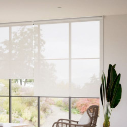 Rolls with a Screen Mate light filter