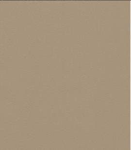 Detalle del acabado · FM6009 — Paneles interiores efecto piel para paredes WPC Domis Decor Piel Beige Cálido / Nubuck Natural 8 mm