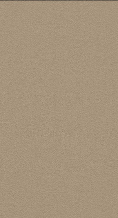 Acabado del catálogo · FM6009 — Paneles interiores efecto piel para paredes WPC Domis Decor Piel Beige Cálido / Nubuck Natural 8 mm