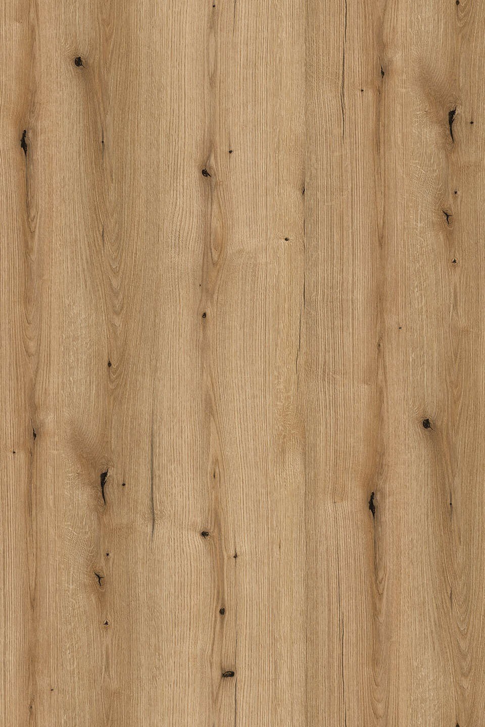 Acabado del catálogo · K365 — Panel de pared SPC Rocko K365 Coast Evoke Oak — 4 mm