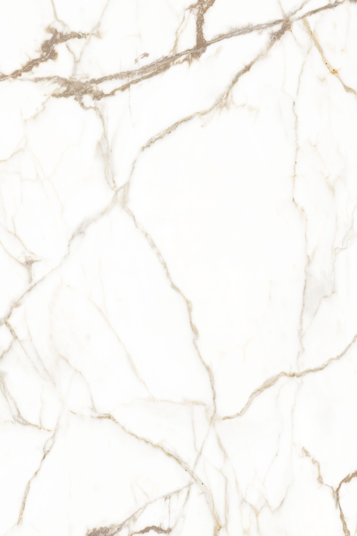 Acabado del catálogo · R192 — Panel de pared SPC Rocko R192 Bianco Gold — 4 mm