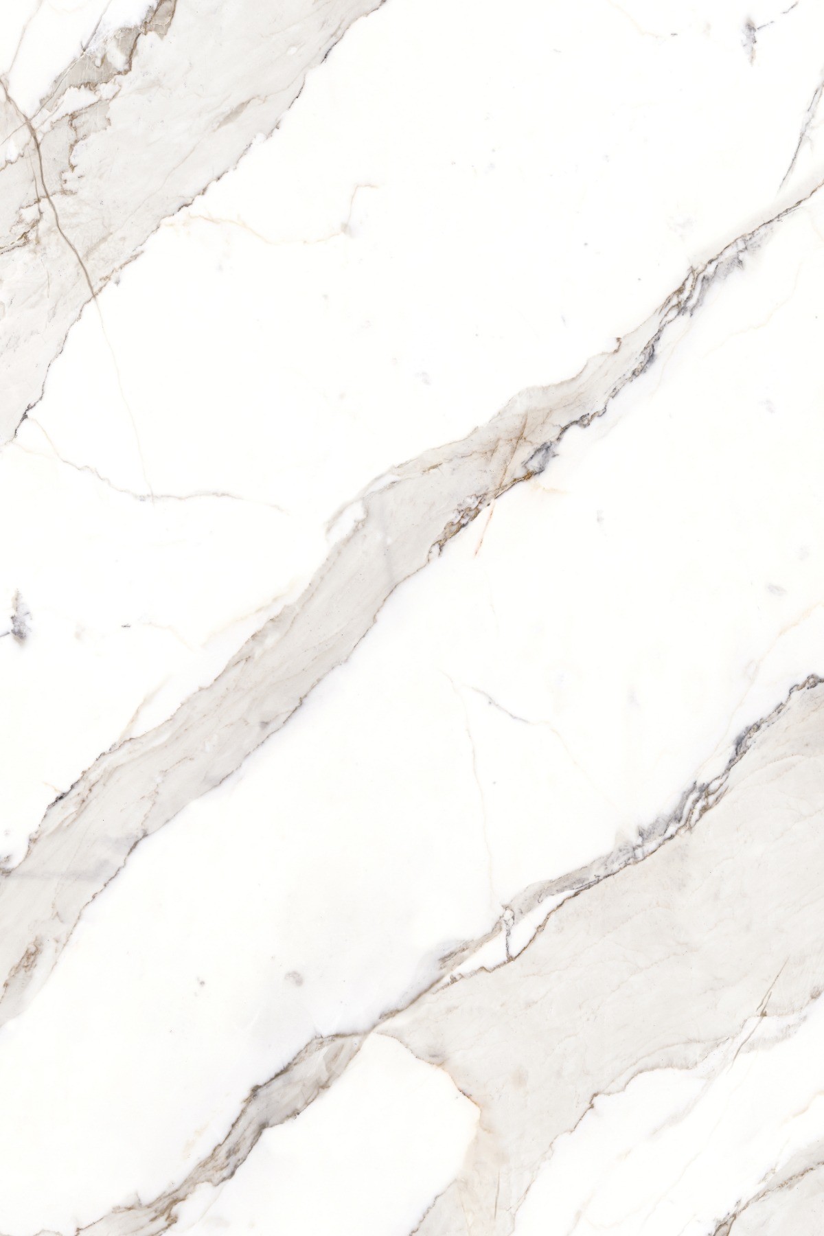 Acabado del catálogo · R256 — Panel de pared SPC Rocko R256 Cloudstone — 4 mm