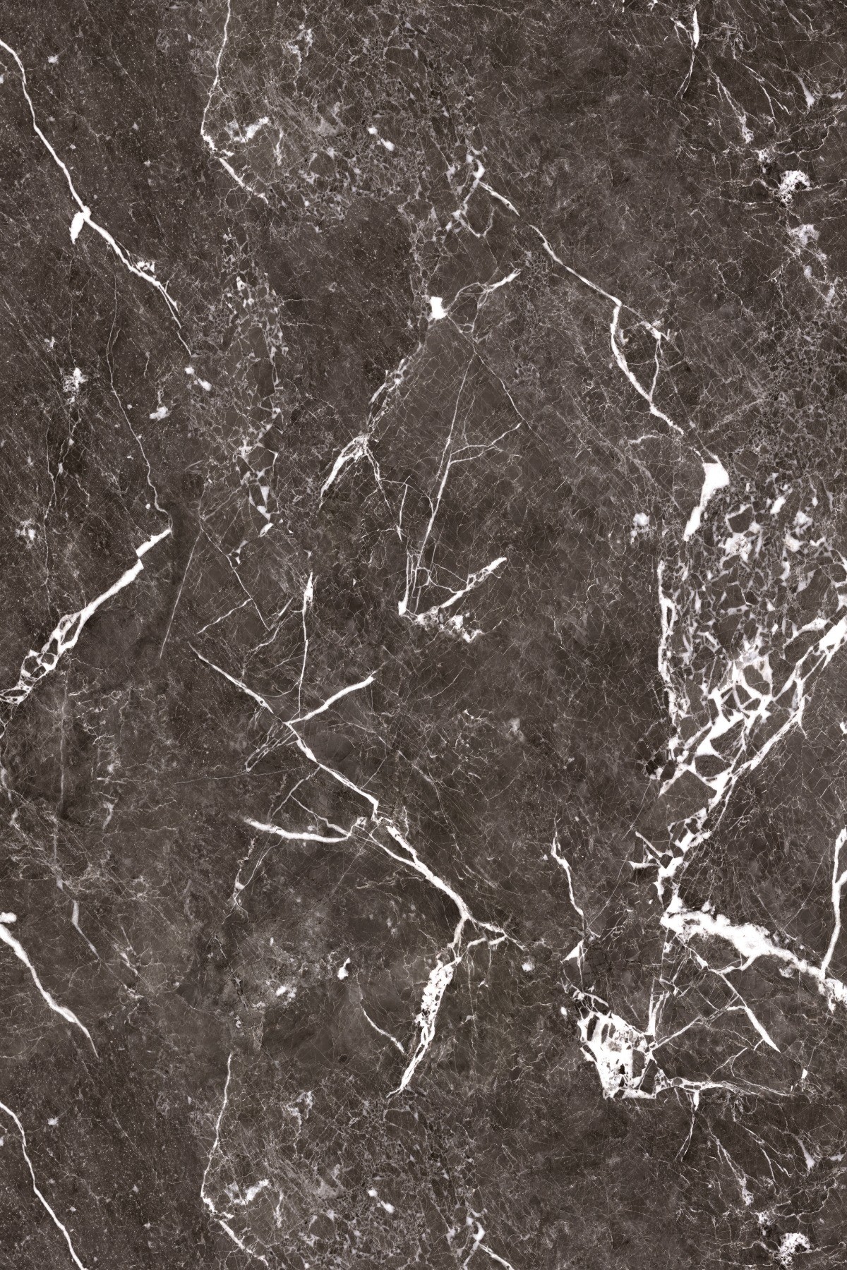 Acabado del catálogo · R261 — Panel de pared SPC Rocko R261 Nebulous Black — 4 mm